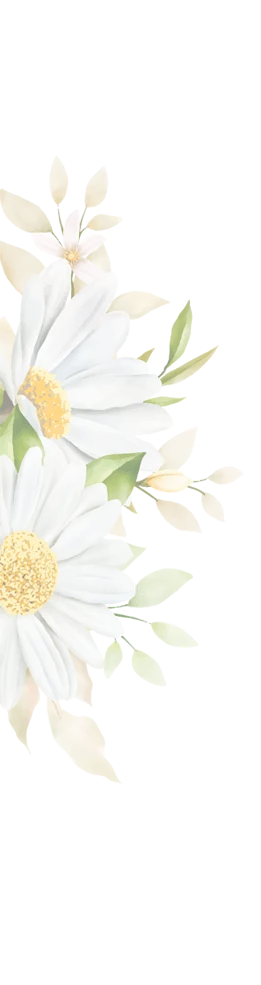 Рамашки и мёд