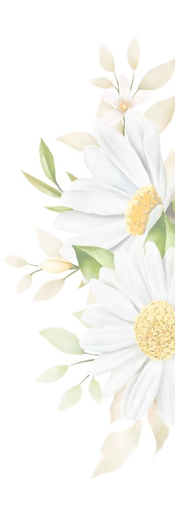 Рамашки и мёд